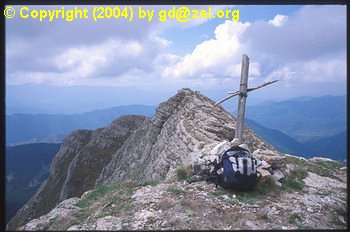 117_7_005_.jpg