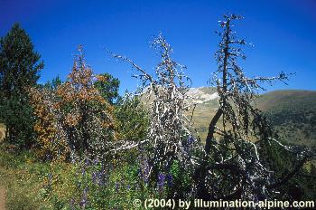 125_7_002.jpg